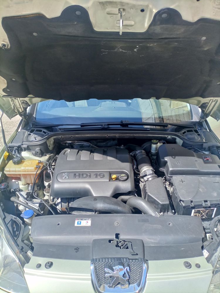 ¡ELEGANCIA CLÁSICA! PEUGEOT 407 EN BEIGE METALIZADO: UNA JOYA DEL TIEMPO