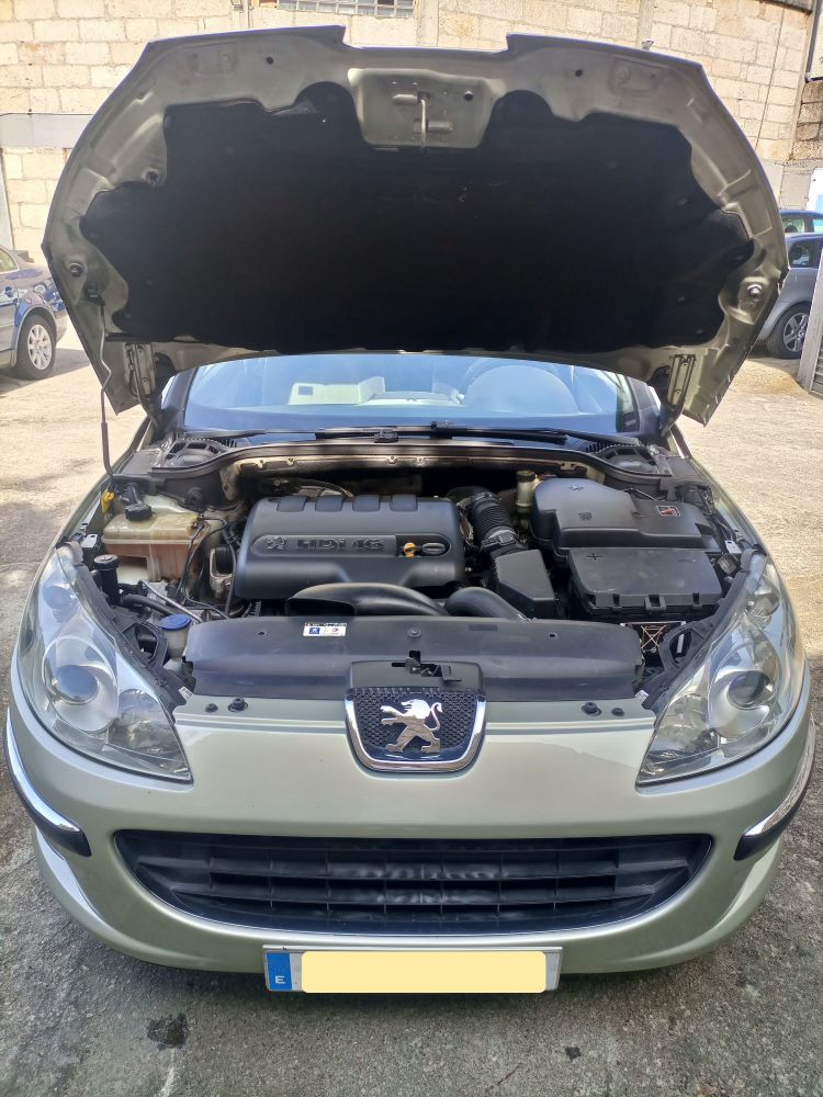 ¡ELEGANCIA CLÁSICA! PEUGEOT 407 EN BEIGE METALIZADO: UNA JOYA DEL TIEMPO