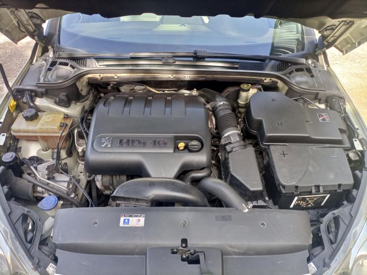 ¡ELEGANCIA CLÁSICA! PEUGEOT 407 EN BEIGE METALIZADO: UNA JOYA DEL TIEMPO