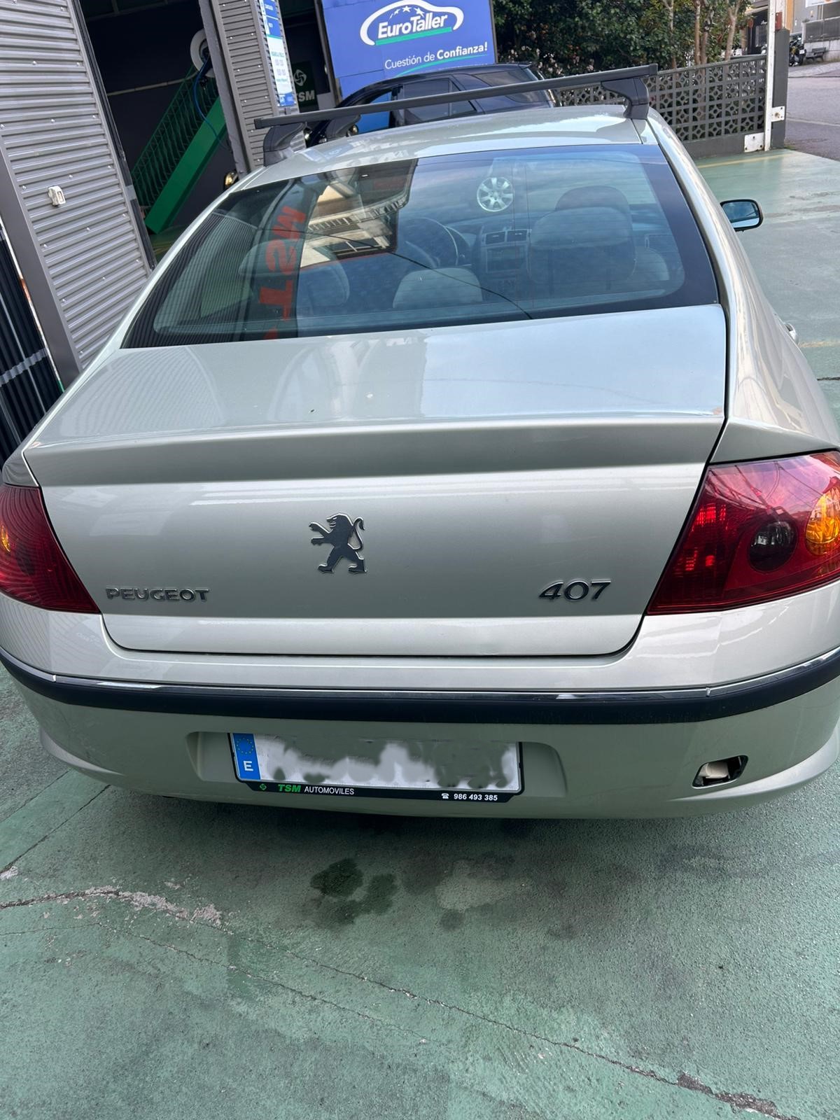 Peugeot 407 Año 2005